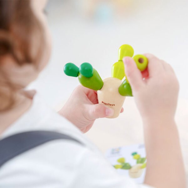 Plan Toys Μini Κάκτος Ισορροπίας - Image 2