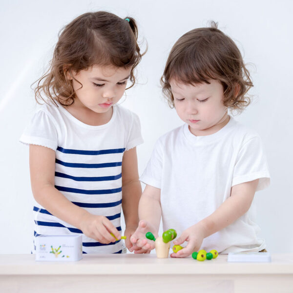 Plan Toys Μini Κάκτος Ισορροπίας - Image 5