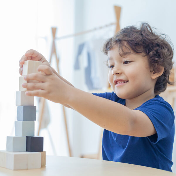 Plan Toys Kύβοι Κατασκευών - Image 2