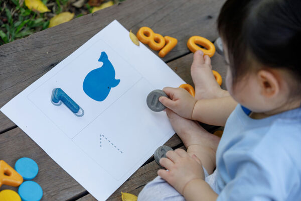 Plan Toys Aριθμοί και Σύμβολα - Image 6