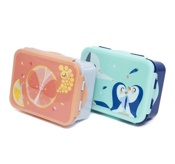 Petit Monkey Lunch Box Flies - Image 2