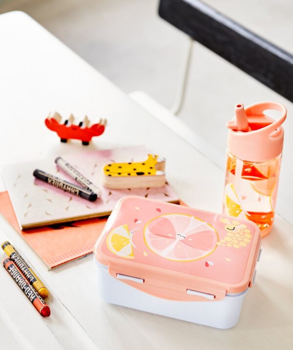 Petit Monkey Lunch Box Flies - Image 3